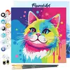 Figured'Art Mini Schilderen op Nummer Volwassenen 20x20cm met lijst Ka...
