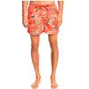 Quiksilver Short De Bain Scenic 15
