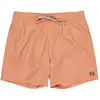 Billabong Short De Bain All Day