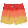 Billabong Short De Bain All Day Fade