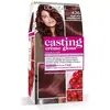 L’Oréal Paris Coloration L'OREAL Casting Crème Gloss - Auburn Gourmand 426