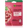 Garnier Garnier Skin Naturals Hydra Bomb Masque En Tissu Lissant 28 G