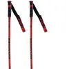 Rossignol Bâtons Hero Gs-sg