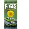 PIXIES - EXT. FLOWER POWER