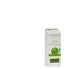 L Herbothicaire L'Herbôthicaire Tisane Verveine Odorante Bio 25g