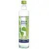 Oemine Sève de Bouleau Fraîche et Biologique Détox et Draineur 500ml
