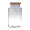 Terrarium Bose 30cm - Bouchon LiègeenVerreTransparent