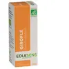 Eolesens Huile essentielle girofle (clou)* 10 ml
