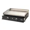 Plancha à gaz IBISSA 2 feu - Plaque INOX et caisson INOX - IB12F - Gaz...