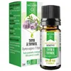 Dayang Thym à Thymol Bio 5ml