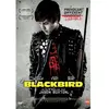 Zed Blackbird DVD