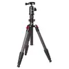 Starblitz ZTSC215