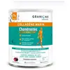 Chondrostéo+ Collagène Marin Confort Articulaire Goût Fruits des Bois Poudre 280g