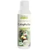 Propos'Nature Propos' Nature Aroma-Phytothérapie Huile Végétale Calophylle Bio 100ml