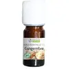 Propos' Nature Aroma-Phytothérapie Huile Essentielle Gingembre Bio 5ml