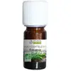 Propos' Nature Aroma-Phytothérapie Huile Essentielle Estragon Bio 5ml