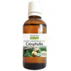 Propos' Nature Aroma-Phytothérapie Huile Végétale Calophylle Bio 50ml