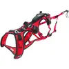 Harnais confort trek s I-dog