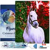 Figured'Art Diamond Painting set Volwassenen 40x50 cm met lijst Paard ...