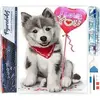 Figured'Art Diamond Painting set Volwassenen 40x50 cm Hond ik hou van ...
