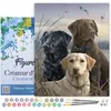 Figured'Art Schilderen op Nummer Volwassenen met lijst - Drie Labrador...