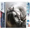 Figured'Art Diamond Painting set Volwassenen 40x50 cm Geweldig paard -...