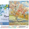 Figured'Art Schilderen op Nummer Volwassenen met lijst - Van Gogh De r...