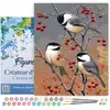 Figured'Art Schilderen op Nummer Volwassenen met lijst - Vogels en fru...