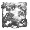 Talitres Stared At From A Distance