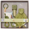 Coffret d'éveil Les Amis Dinos