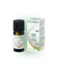 Naturactive Citroengras Etherische Olie (Cymbopogon Flexuosus) 10 ml