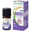 Naturactive Geranium Bourbon Etherische Olie Organisch 5 ml
