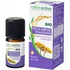 Naturactive Huile Essentielle Bio Hélichryse 5ml