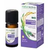 Naturactive Etherische Olie van Lavendel 10 ml