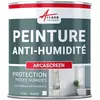 ARCANE INDUSTRIES Peinture anti humidité anti moisissure salpêtre isolante ARCASCREEN   - 0.75 L (jusqu a 3m²)