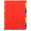 Waytex 12 Intercalaires A4 Couleurs Vives en Polypropylène avec Page d'Index