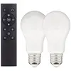 KOZii - Pack de 2 Ampoules LED connectées A60, culot E27, RVB avec tél...