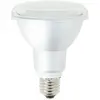 XANLITE Alpar30 Ampoule LED 10 W E27 Gris