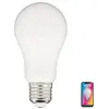 Ampoule LED connectée SMD E27 A60 Opaque 9W Variation de couleur et lu...