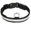 Eyenimal USB RGB Light Collier M 1 pièce 80 g