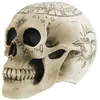 PARTYPRO - Skeletschedel met pentagram 18 x 12 x 15 cm