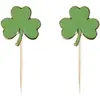 PARTYPRO - 10 houten klavertjes Saint Patrick 8 x 5 cm