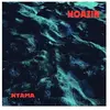 Disques vinyles populaires : Nyama
