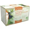 Inebios Artipause Tisane Bio 20 sachets