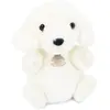Doudou et Compagnie Chien 20cm (20 cm)