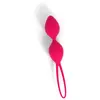 dorcel Boules De Geisha Télécommandées Divine Balls