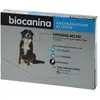 -Biocanina Fiprodog Très Grand Chien 402 mg