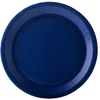 ISAP FRANCE - 10 Marineblauwe kartonnen borden 22 cm