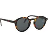 Izipizi Sun Kids #D Tortoise (de 5 à 7 ans)