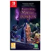 Microids Le Maître du DonJon de Naheulbeuk Edition Limitée Nintendo Switch